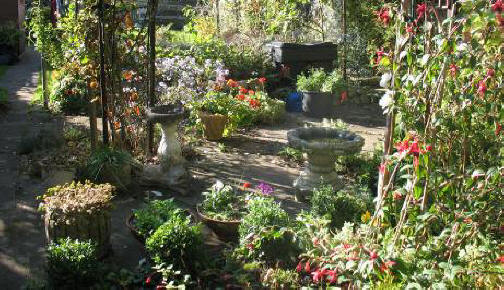 Middle of garden with birdbaths and pots