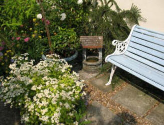 Feverfew and garden seat