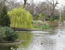 Greenwich Park - duckpond