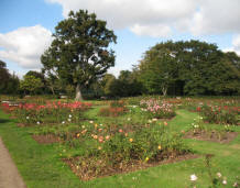 Greenwich Park - rose garden in front of Ranger's House