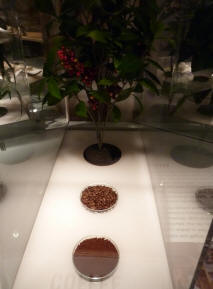 National Maritime Museum - coffee plant and products